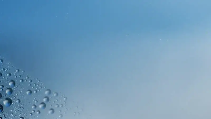 Standbild aus dem Video „Auswahl“