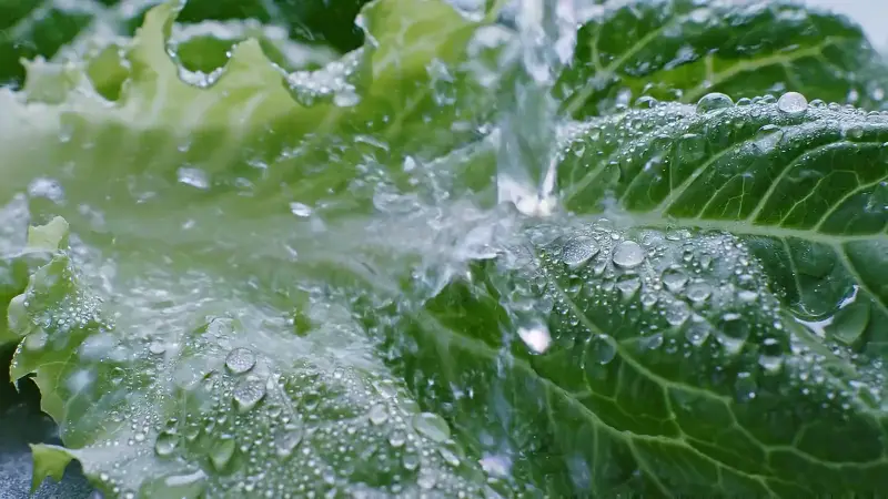 Standbild aus dem Video „Wissen“